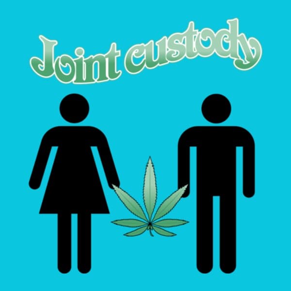 Joint Custody